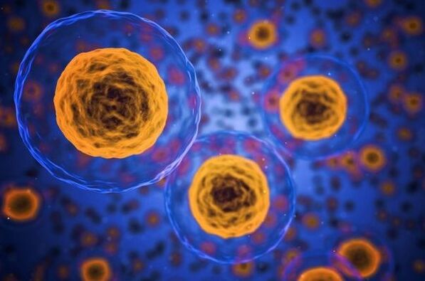 Kuidas kaalu langetamise protsess toimub