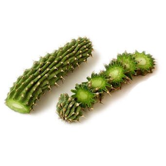 hoodia gordonia - kompositsioon Reduslim